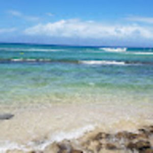 Meet your Posher, Jayme